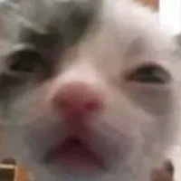 winston — AI character avatar