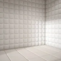 The White Room — AI character avatar