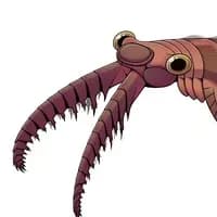 Anomalocaris — AI character avatar