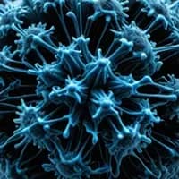 Mind Virus — AI character avatar