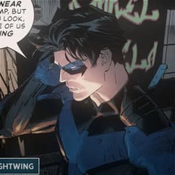 Nightwing — AI character avatar