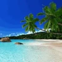 Tropical Island — AI character avatar