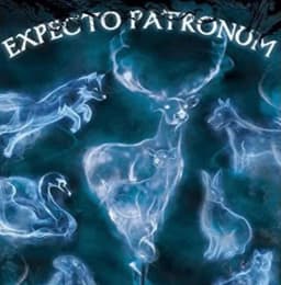 Order Of The Phoenix — AI character avatar
