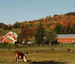 The farm where you a — AI character avatar
