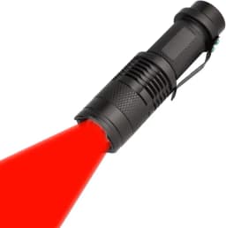 The Magic Flashlight — AI character avatar
