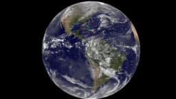 THE MOST FREE WORLD! — AI character avatar